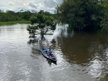 DÍA MEDIO AMBIENTE WV (1)