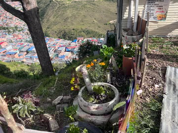 Huerta comunitaria en Ciudad Bolivar WV (5)